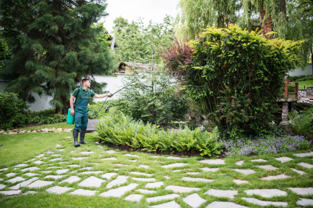 Best Mosquito Control Services  in Avon, IN