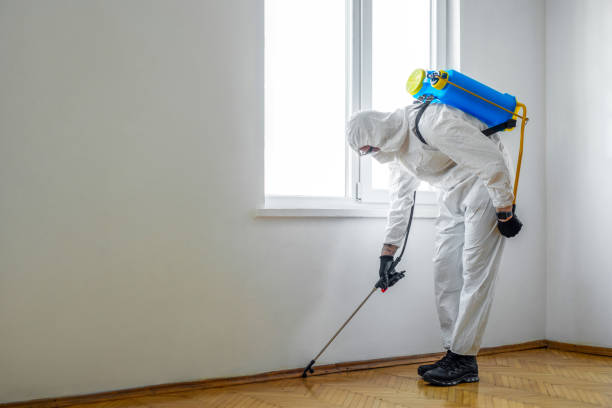 Best Emergency Pest Control  in Avon, IN