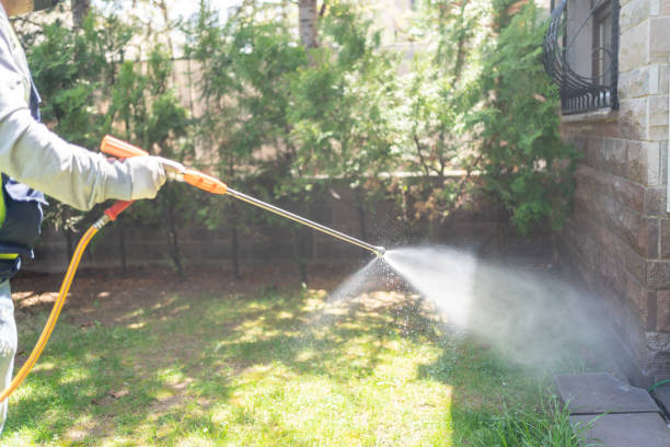 Best Wasp Removal Services  in Avon, IN