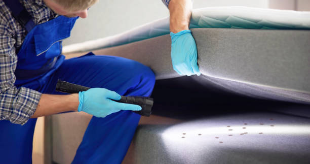 Best Commercial Pest Control Services  in Avon, IN
